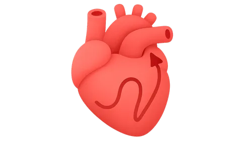 Supraventricular tachycardias