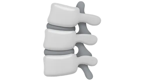 Lumbar Spine Disorders