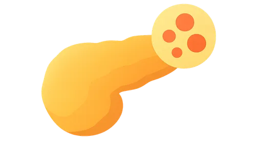 Blood Glucose Regulation