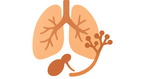 Host factors in dimorphic fungal infections