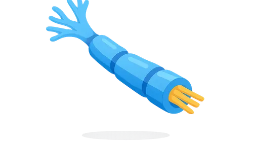 Peripheral nerve disorders