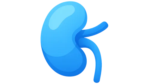 Metabolic Acidosis and Alkalosis