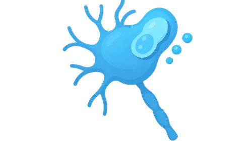 Cholinergic Agonists