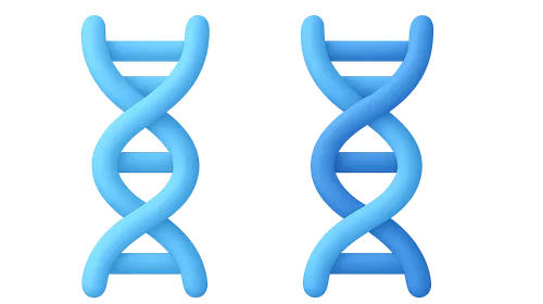 Genetic polymorphisms