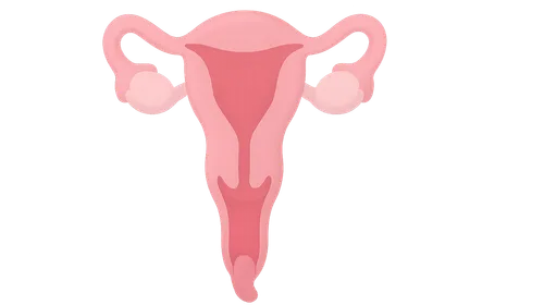 Uterine Prolapse