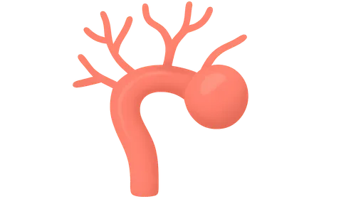 Cerebrovascular Diseases