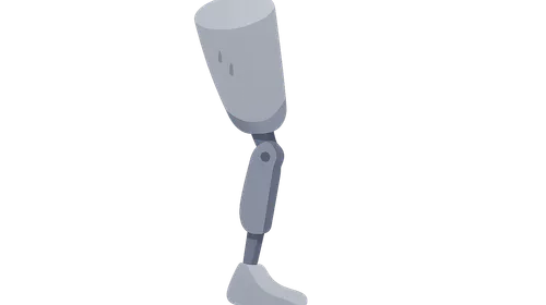 Amputee Rehabilitation
