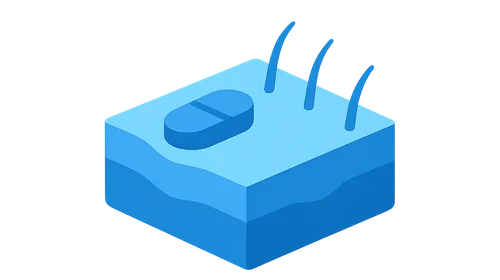 Absorption factors and bioavailability