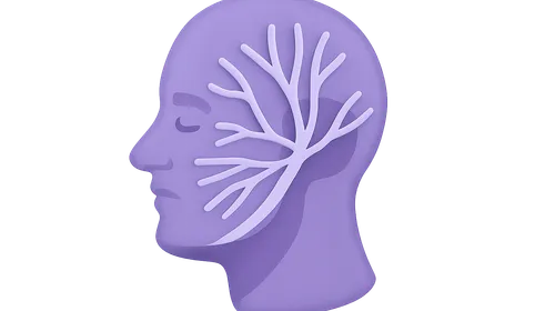 Cranial nerves and their pathways