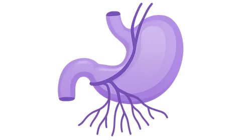 Innervation of Abdominal Viscera