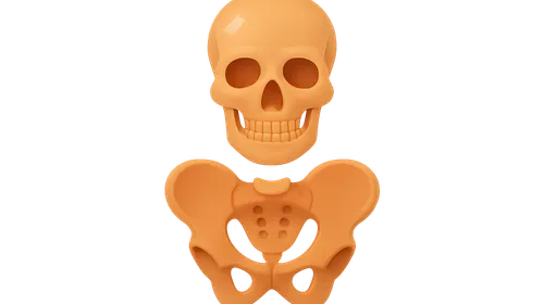 Sex Determination from Skeletal Remains