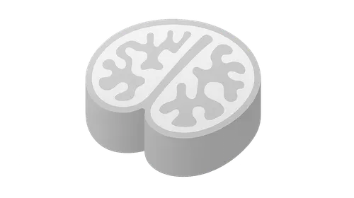 Sectional and Cross-sectional Anatomy