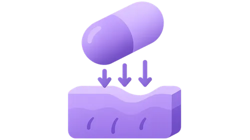 Absorption and Bioavailability