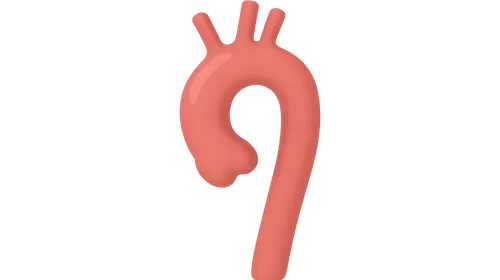 Aortic and Great Vessel Imaging