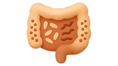 Dysbiosis and disease associations