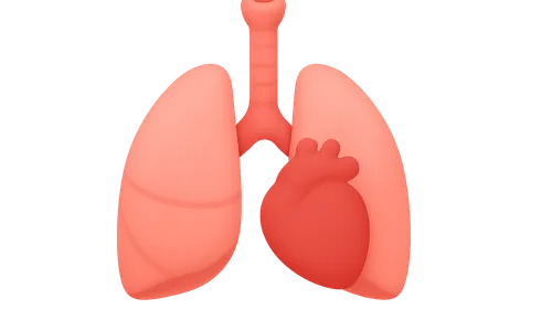 Airway, Breathing, Circulation priorities