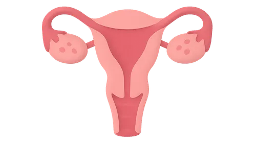 Fertility and Infertility