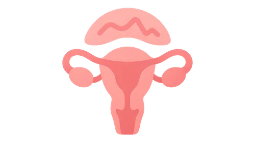 Perimenopausal Transition