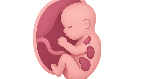 Fetal Endocrine Development