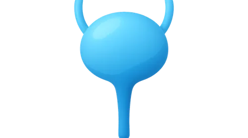 Autonomic Drugs in Urological Disorders