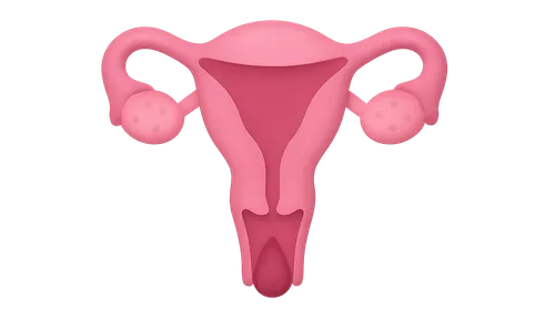 Normal Menstrual Physiology