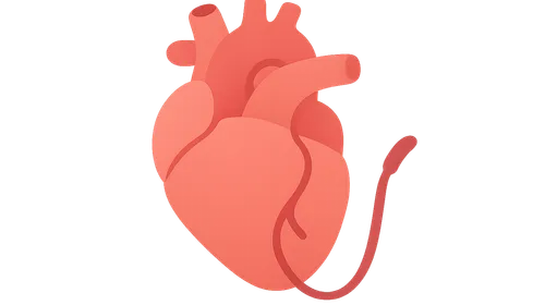 Cardiovascular Interventional Procedures