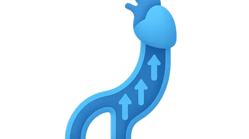 Venous pressure and return