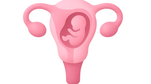 Pharmacokinetics of Hormones in Pregnancy