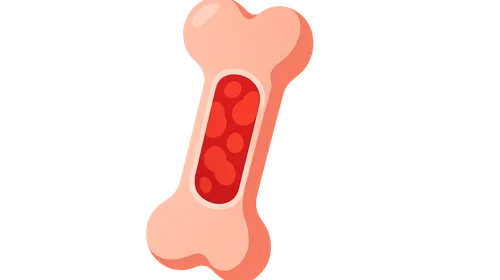 Bone Marrow Failure Syndromes