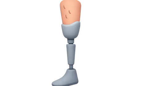 Lower Limb Prosthetics