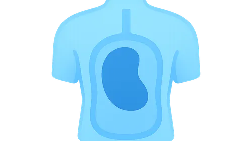 Body fluid compartments