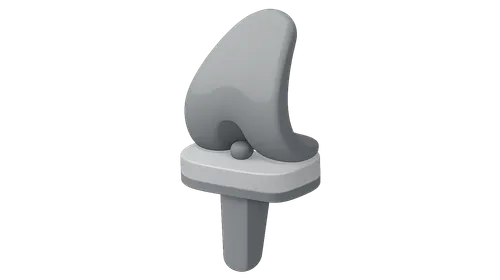 Tribology in Orthopaedics