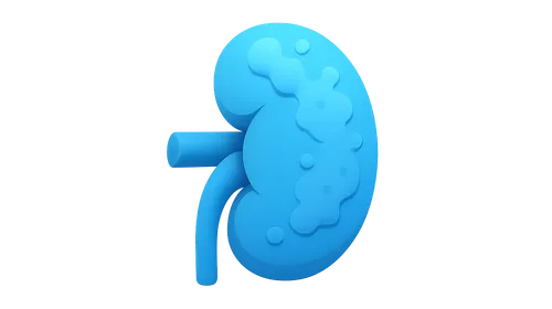 Chronic Kidney Disease