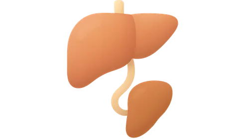 Liver Transplantation Pathology