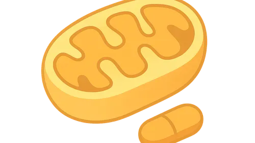 Uncouplers and Inhibitors of Oxidative Phosphorylation