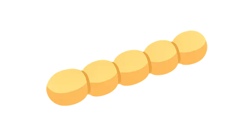 Streptococcus pneumoniae