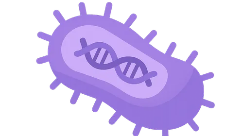 Bacterial Gene Expression