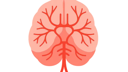 Middle cerebral artery territory