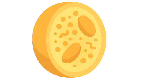 Disorders of Lipoprotein Metabolism