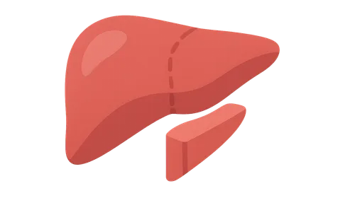 Liver resection principles