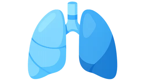 Breathing assessment and management