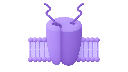 Molecular Basis of Excitability