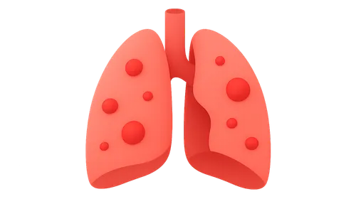 Anatomical Aspects of Infections