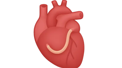 Post-Surgical Cardiovascular Imaging