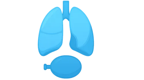 Definition of lung compliance