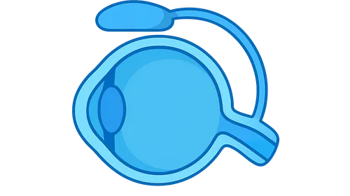 Glaucoma Drainage Devices