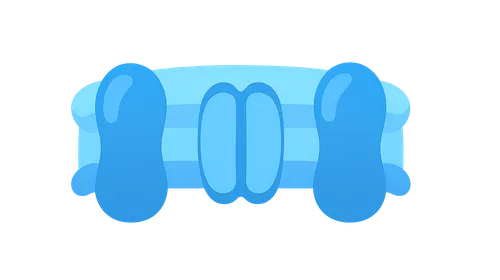 Membrane Transport Proteins