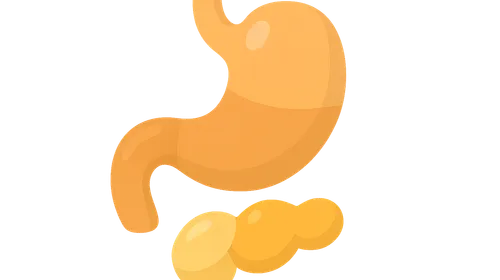 Gastrointestinal Hormones