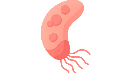 Blood and tissue parasites