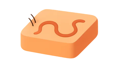 Cutaneous Larva Migrans